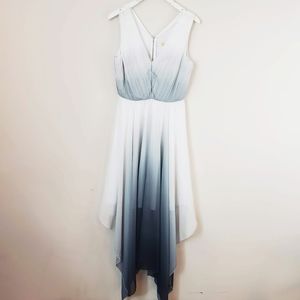 Catherine Malandrino Dress Milan
Ombre whimsy